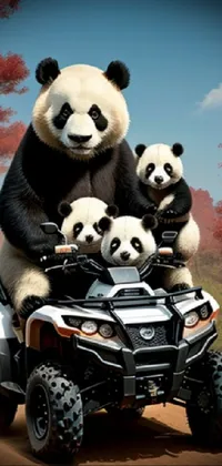 Panda Wheel Tire Live Wallpaper