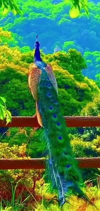 Looking for a breathtaking phone live wallpaper? Look no further than this stunning design featuring a majestic peacock perched on a wooden fence surrounded by lush vegetation