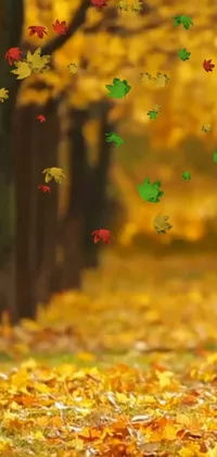 People In Nature Amber Branch Live Wallpaper