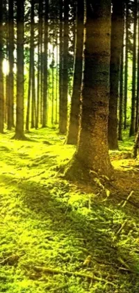 Transform your phone into a virtual forest with this stunning live wallpaper