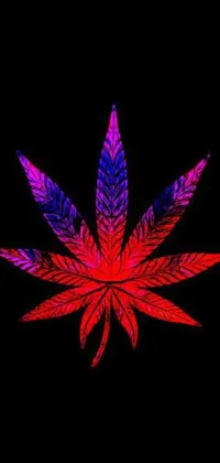 This live wallpaper features a bold, red and blue marijuana leaf set against a sleek black background