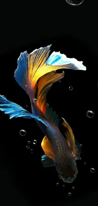 Looking for an aquatic-themed phone wallpaper? Look no further than this stunning digital artwork featuring a betta fish in its natural environment