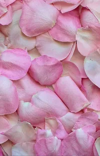 Petal Botany Pink Live Wallpaper