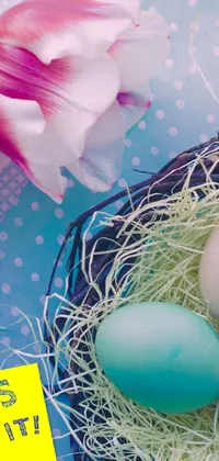 Petal Egg Easter Live Wallpaper