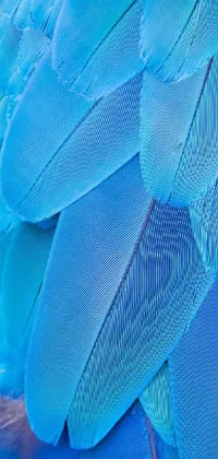 Petal Electric Blue Magenta Live Wallpaper