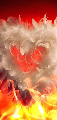 Petal Feather Wing Live Wallpaper