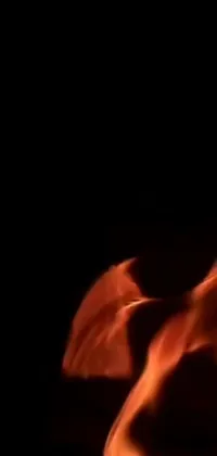 Petal Fire Flame Live Wallpaper