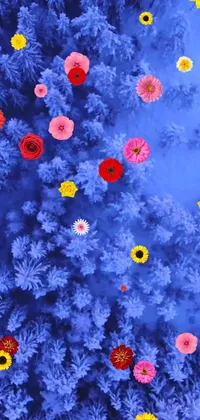 This stunning live wallpaper features vibrant winter flowers floating in the air amid a Nordic forest-inspired backdrop