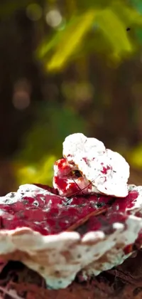 This phone live wallpaper features an awe-inspiring scene of a single piece of food, bursting with ripe cherries, lying on a forest floor