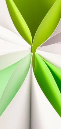 This phone live wallpaper showcases a stunning green and white paper flower in close-up