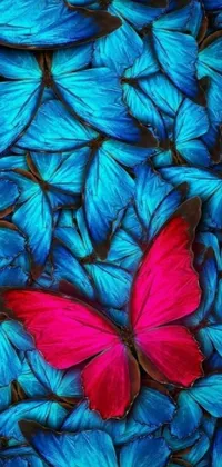 This live phone wallpaper features a highly-detailed red butterfly seated among blue butterflies in hot pink and cyan colors