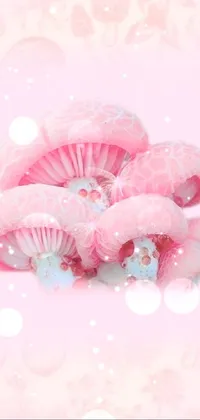 Petal Liquid Pink Live Wallpaper