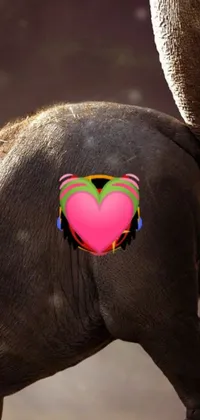 This phone live wallpaper is a fantastic addition to any mobile device with an amazing close-up shot of an elephant merged with a horse head animal to create a unique and captivating design