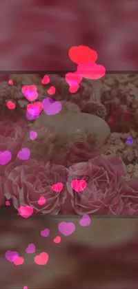 Petal Organism Pink Live Wallpaper
