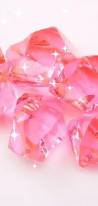 Petal Pink Magenta Live Wallpaper