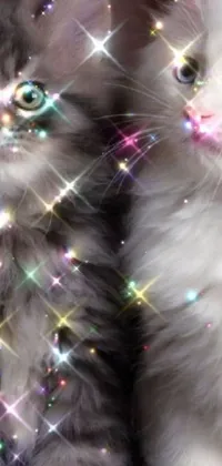 This phone live wallpaper features two adorable kittens sitting next to each other in a colorful and glittering setting