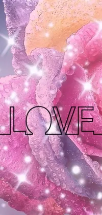 This live wallpaper features a lovely pink rose with the message "love me" inscribed upon it