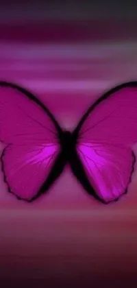 Bring your phone to life with this stunning pink butterfly live wallpaper