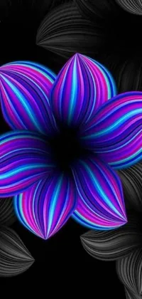 Phone live wallpaper with a stunning purple and blue flower surrounded by black leaves on a black background