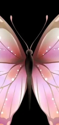 This phone live wallpaper features a beautiful butterfly in close-up against a black background