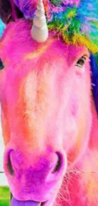 This animated phone wallpaper showcases a beautiful close-up of a horse with a rainbow mane in the vibrant colors of pink