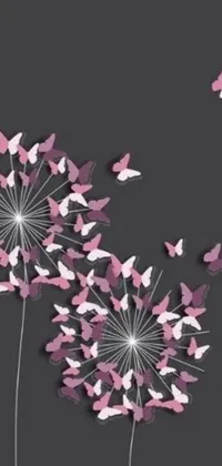 This live wallpaper depicts a delightful scene of butterflies flying about a dandelion