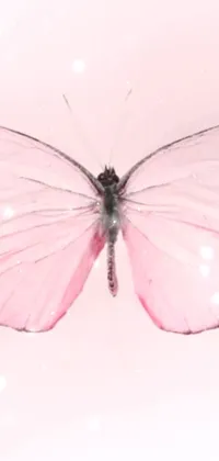 This phone live wallpaper features a delicate pink butterfly set against a soft pink background