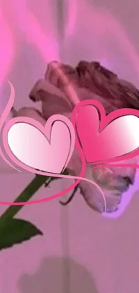 This phone live wallpaper features a beautiful pink rose with two heart-shaped decorations, creating a romantic and charming atmosphere on your device