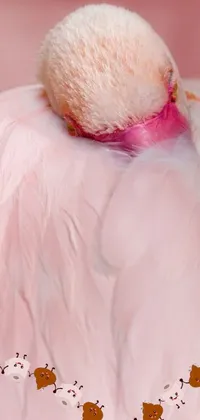 This live wallpaper features a close-up of a stunning white bird with soft pink feathers
