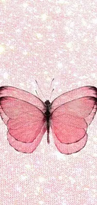 This lovely live wallpaper depicts a pink butterfly resting on a pink surface, featuring a detailed design and a glitter gif effect