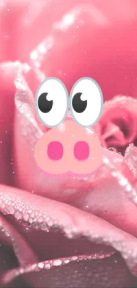 Petal Pink Snout Live Wallpaper
