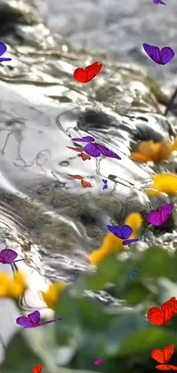 This stunning phone live wallpaper depicts a colorful digital rendering featuring a group of butterflies that flutter gracefully over a serene body of water