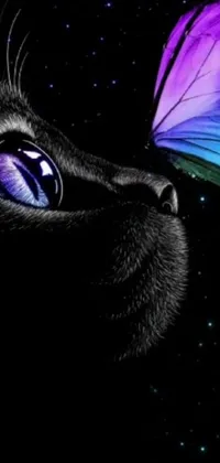 Looking for a unique and beautiful live wallpaper for your phone? Check out this gorgeous black and purple amoled wallpaper featuring a stunning painting of a cat with a butterfly on its nose