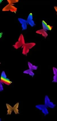 Looking for a stunning live wallpaper to elevate your phone's visual appeal? Look no further than this colorful bird wallpaper! Featuring a group of gracefully flying birds, surrounded by fluttering black butterflies, and a gorgeous glowing sunset background, this wallpaper is sure to make your phone stand out
