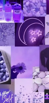 Petal Purple Light Live Wallpaper