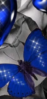 Get mesmerized by this stunning live wallpaper featuring a beautiful blue butterfly perched on a black and white rose amidst glittering crystals with a captivating royal blue background