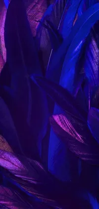 This phone live wallpaper features a stunning digital painting of purple and blue feathers, influenced by trends in cg society and inspired by lyrical abstraction
