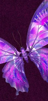 This phone live wallpaper showcases a beautiful digital art creation of a purple butterfly on a sleek black background