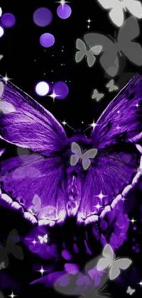 Petal Purple Violet Live Wallpaper