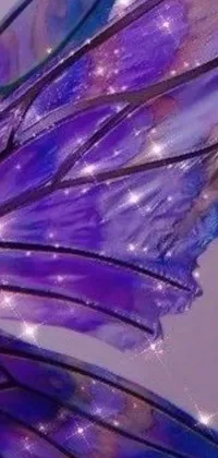 This phone live wallpaper showcases a stunning close-up of a purple and blue butterfly wing, inspired by the art nouveau movement