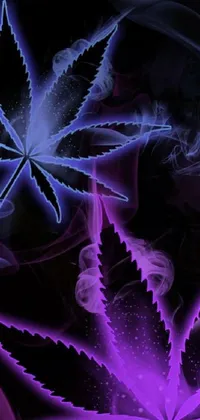 This phone live wallpaper features a stunning close up of a hemp plant emitting smoke against a dark purple glowing background