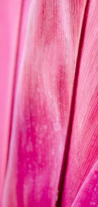 This phone wallpaper showcases a stunning macro photograph of a pink flower, surrounded by a vibrant tropical bird feather backdrop