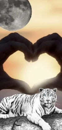This live wallpaper features a white tiger sitting in front of a big white moon against a deep blue background