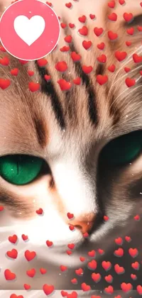 This phone live wallpaper features a captivating cat with green eyes, embraced by red hearts in an intricate airbrush painting