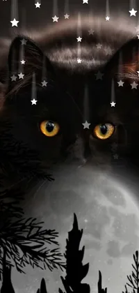 Photograph Eye Cat Live Wallpaper