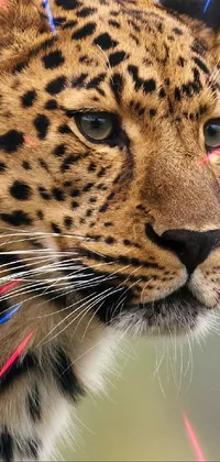 This phone live wallpaper features a stunning leopard design with red, white, and blue pins on its face