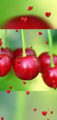 Looking for a fun and lively phone wallpaper? Check out this digital rendering featuring a bunch of cherries hanging from a tree! The vibrant colors and romantic scene make it perfect for those who love a touch of whimsy