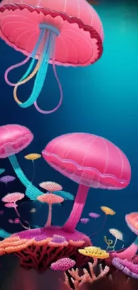 Photograph Jellyfish Vertebrate Live Wallpaper