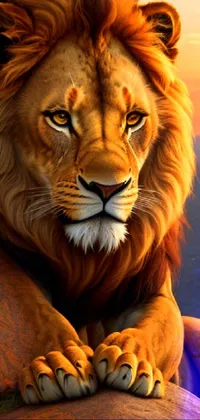 Photograph Light Lion Live Wallpaper - free download