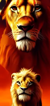 Photograph Light Lion Live Wallpaper - free download